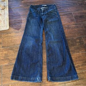Hudson Wide-Leg Blue Jeans